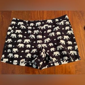 Loft shorts size 6